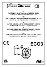 Mecc Alte spa ECO3 1L Operating And Maintenance Instructions Manual предпросмотр