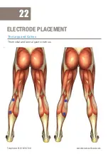 Preview for 22 page of Med-Fit Comfy EMS Plus Quick And Easy User Manual