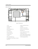 Предварительный просмотр 32 страницы MediSono P25 EXP User Manual