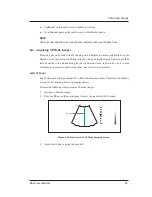 Предварительный просмотр 105 страницы MediSono P25 EXP User Manual