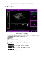 Preview for 38 page of MediSono P3V User Manual