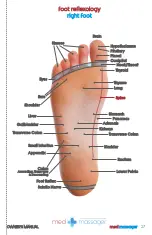 Preview for 27 page of MedMassager MMF07 Owner'S Manual