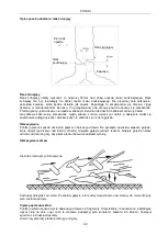 Preview for 69 page of Meec tools 703-040 Operating Instructions Manual