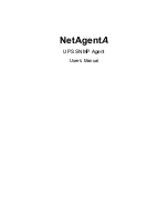Mega System Technologies NetAgentA User Manual preview