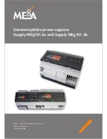 Mega Supply MEg101.3a Manual предпросмотр