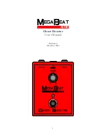 Предварительный просмотр 1 страницы MegaBeat Audio Ghost Booster User Manual