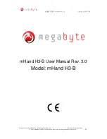 megabyte mHand H3-B User Manual предпросмотр