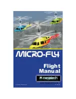 Preview for 1 page of MegaTech Micro-fly Flight Manual