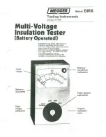 Preview for 1 page of Megger BM8 User Manual