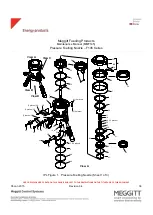 Предварительный просмотр 42 страницы Meggitt F145 Series Maintenance Manual