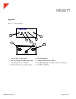 Preview for 9 page of Meggitt P702B User Manual