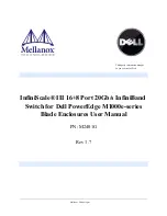 Предварительный просмотр 1 страницы Mellanox Technologies InfiniScale III User Manual