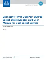 Mellanox Technologies MCX456M-ECAT User Manual preview