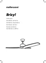 Mellerware Brizy! Manual предпросмотр