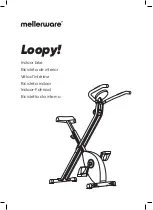 Mellerware Loopy! Manual preview