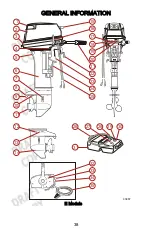 Предварительный просмотр 48 страницы Mercury 15 E Manual