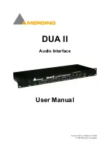 Merging DUA II User Manual preview