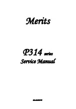 Merits p314 series Service Manual preview