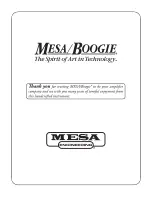 Preview for 21 page of MESA ENGINEERING CabClone IR Owner'S Manual