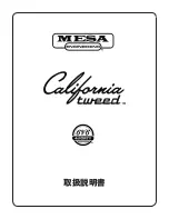 MESA ENGINEERING California tweed 6V6 4:FORTY Manual preview