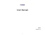 Preview for 1 page of METER MW04 User Manual