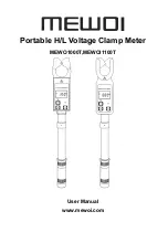 MEWOI MEWO1000T User Manual предпросмотр