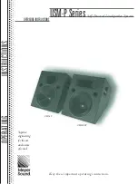 Meyer Sound Self-Powered Loudspeaker Systems USM-P Series Operating Instructions Manual preview