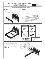 mFi CITY II RAKE Assembly Instructions preview