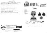 MGA Entertainment L.O.L. SURPRISE! O.M.G. ROYAL BEE Quick Start Manual preview