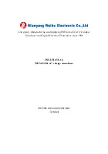 Mianyang Weibo Electronic WBV412S01 User Manual preview