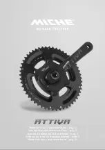 Miche Attiva PowerMeter Manual Of Maintenance And Use предпросмотр