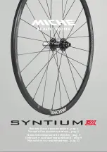 Miche Syntium DX Manual preview