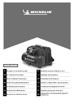 Предварительный просмотр 1 страницы Michelin MBL 6V2/1100 User Manual