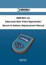 Michell Instruments MDM300 I.S. Manual предпросмотр