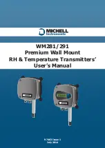 Предварительный просмотр 1 страницы Michell Instruments WM281 User Manual