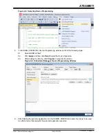 Preview for 21 page of Microchip Technology ATSAMB11 User Manual