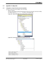Preview for 24 page of Microchip Technology ATSAMB11 User Manual