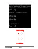 Preview for 53 page of Microchip Technology ATSAMB11 User Manual