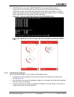 Preview for 54 page of Microchip Technology ATSAMB11 User Manual