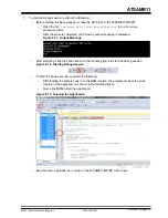 Предварительный просмотр 92 страницы Microchip Technology ATSAMB11 User Manual