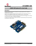 Microchip Technology ATSAMB11ZR User Manual предпросмотр