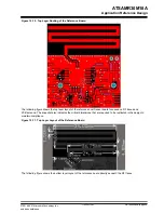 Предварительный просмотр 50 страницы Microchip Technology ATSAMR30M18A Datasheet