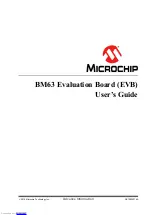 Microchip Technology BM63 User Manual preview