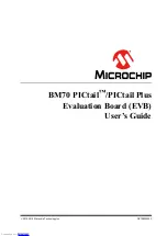 Microchip Technology BM70 PICtail User Manual preview