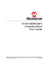 Microchip Technology EVB-USB3503 QFN User Manual preview