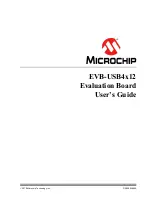 Preview for 1 page of Microchip Technology EVB-USB4x12 User Manual