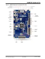 Preview for 5 page of Microchip Technology SAMC21N Xplained Pro Manual