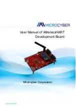 Preview for 1 page of Microcyber WH-M User Manual