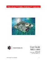 Microgate MicroGate MG1-1000 User Manual preview