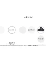 Microlab M-1113 User Manual предпросмотр